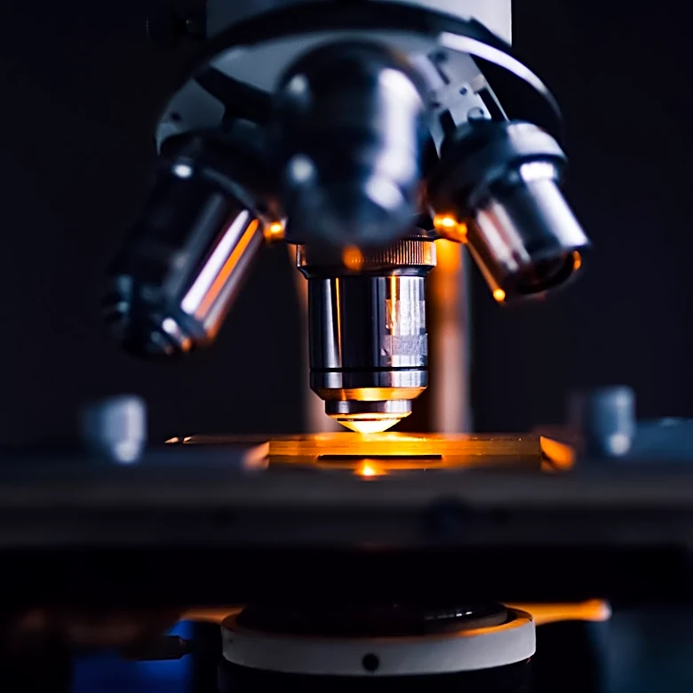 Stanford Study Reveals Aging Occurs in Dramatic Bursts at Ages 44 and 60