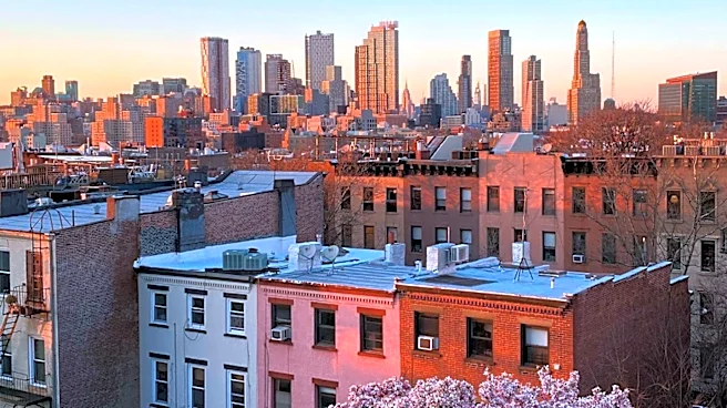 Downtown Brooklyn's Transformation: A Guide for Renters