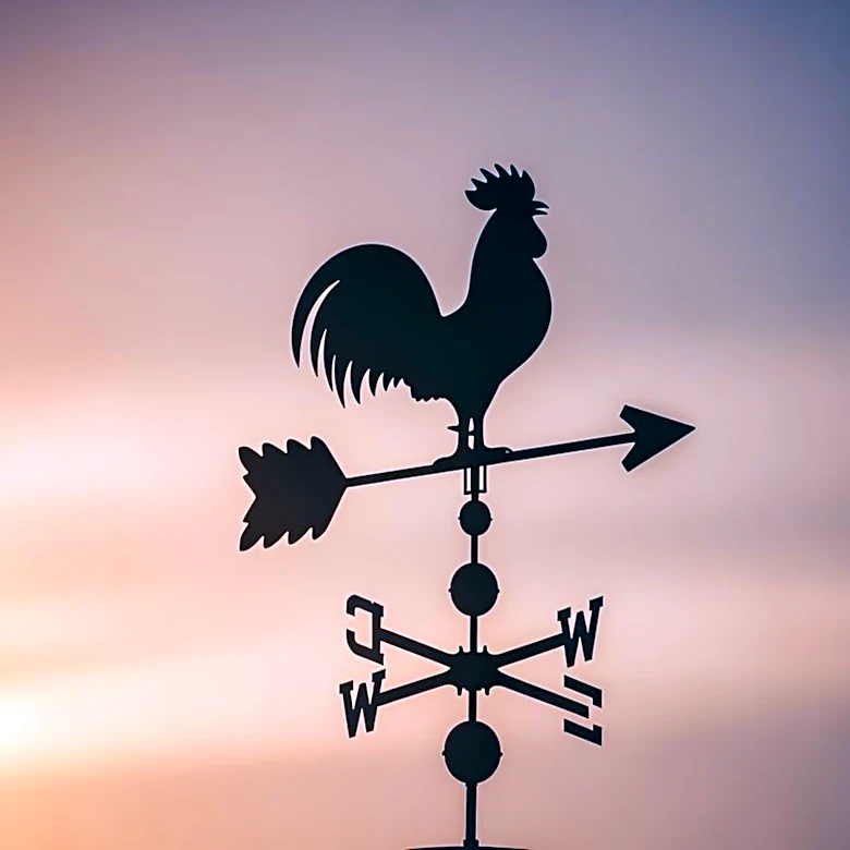 Connie Britton Discusses Role in 'Rooster' Episode 5 and Its Impact on Character Dynamics