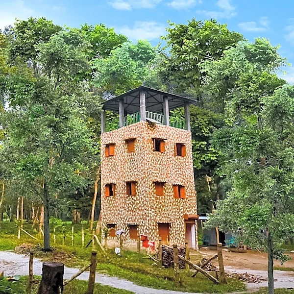 Severson Dells Nature Center Rebrands to Wild Roots Nature Center