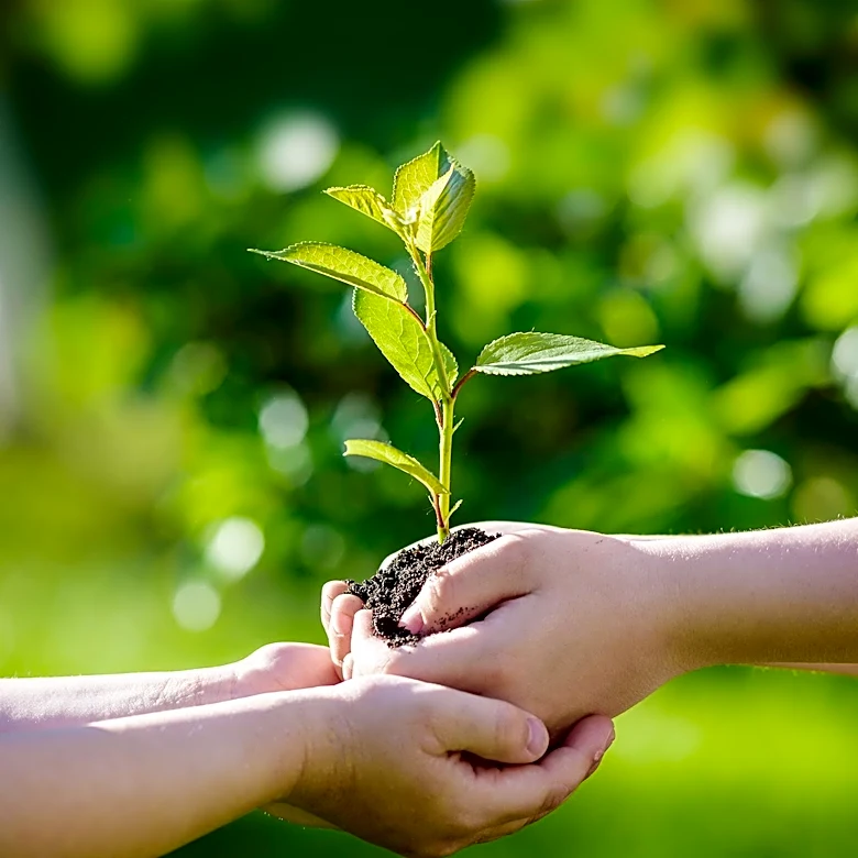 Macaroni KID Erie Promotes Eco-Friendly Earth Day Activities for Children