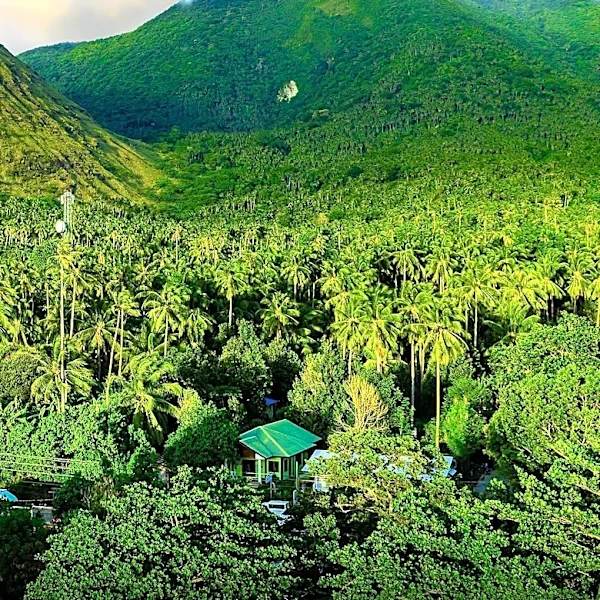 Renowned Artist Ann Hamilton Begins Residency at Merwin Conservancy on Maui