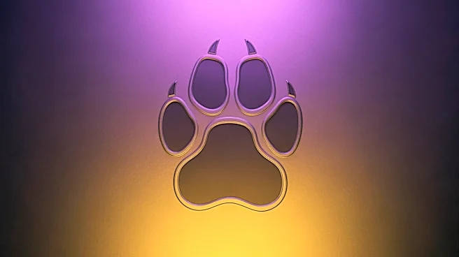 LSU Tigers Secure Commitment from Top Recruit Caroline Bradley for 2027 Season