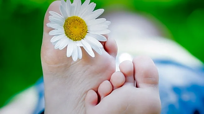 Barefoot Hiking Gains Popularity for Its Primal Appeal and Health Benefits