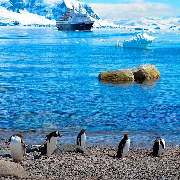 Luxury Cruise Lines Compete for Antarctica's Unique Travel Market