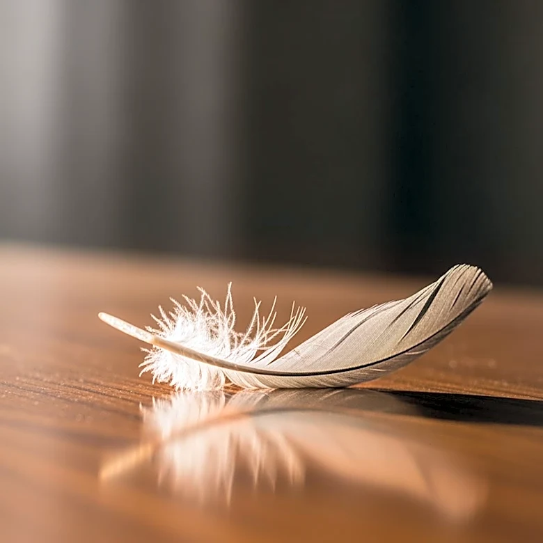 Janai Norman Expresses Heartbreak Over Abrupt Departure from 'GMA'