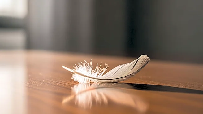 Janai Norman Expresses Heartbreak Over Abrupt Departure from 'GMA'