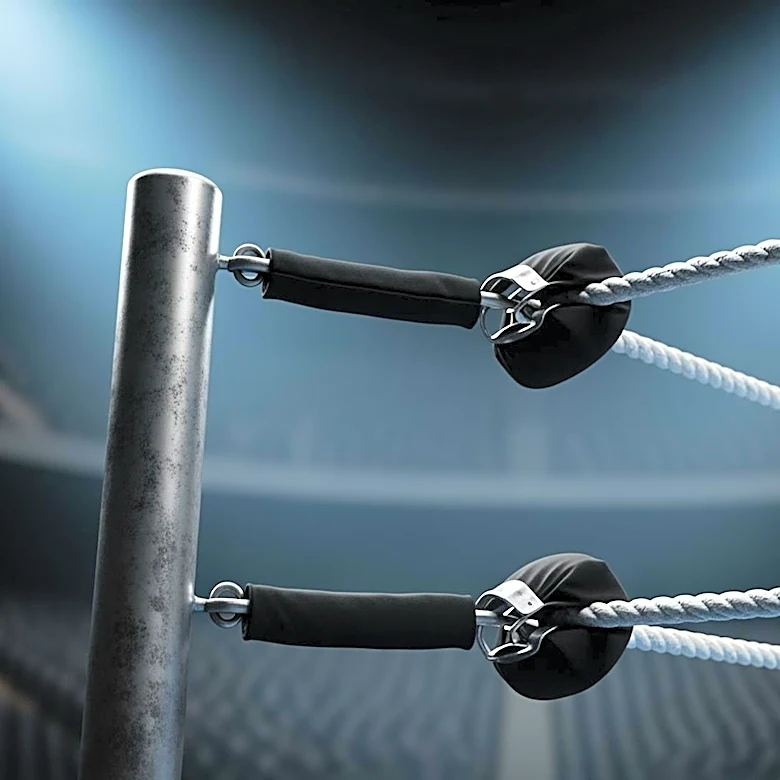 CM Punk Calls for Lower Ticket Prices at WrestleMania 42 During WWE RAW