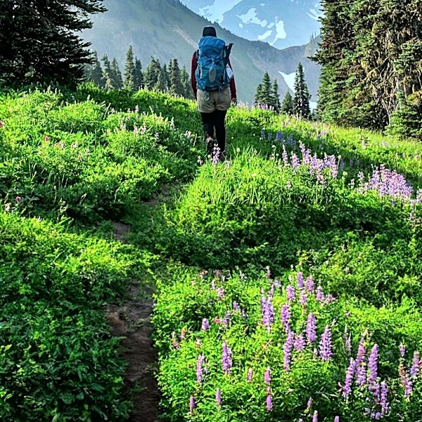 White River Forestry Committee Hosts Annual Wildflower Hike to Showcase Spring Blooms