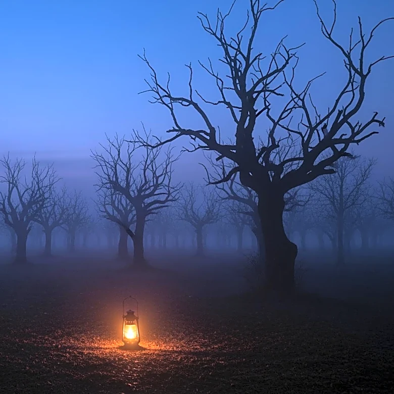 Netflix's 'Something Very Bad Is Going to Happen' Tops Streaming Charts Amidst Horror Craze