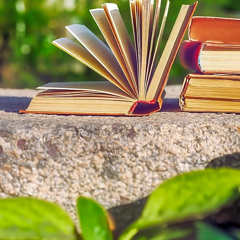 Book Review Explores the Mindset of 'Tradwives' Through Fictional Narrative