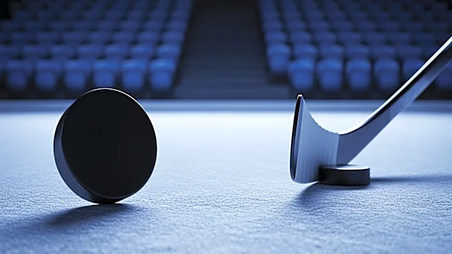 Minnesota Wild Signs Top Pick Charlie Stramel, Debut Delayed Due to Injury