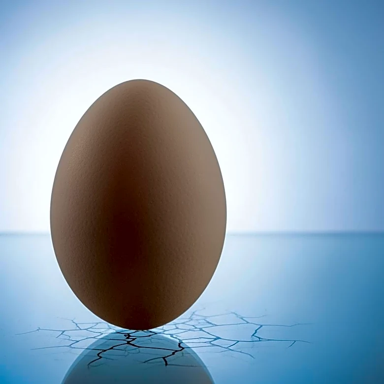 Cal-Maine Foods Faces Real-Time Test Amid Plunging Egg Prices