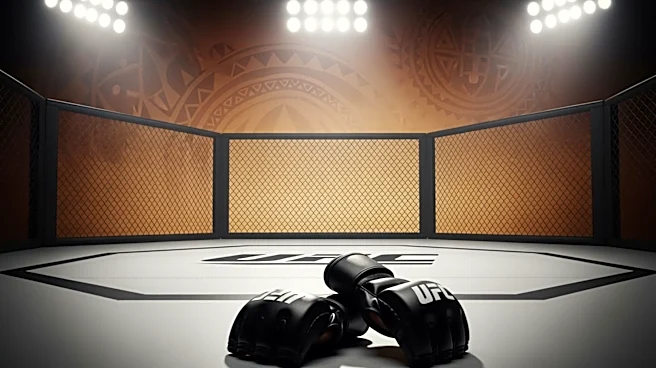 Paulo Costa's Ethnic Background and Career Transition in UFC