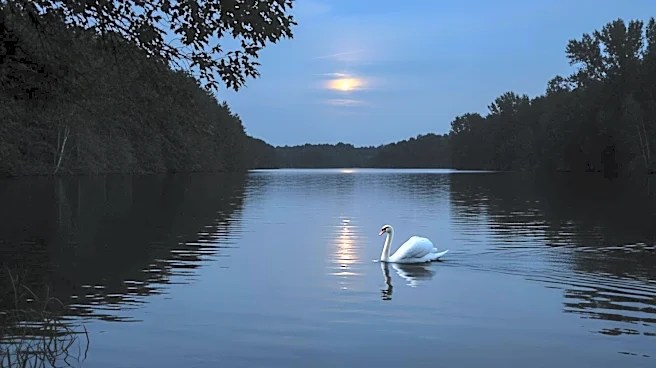 Uma Thurman Returns to 'Dexter: Resurrection' for Season 2, Sparking New Plot Twists