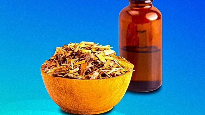 Nutritional Supplements Recommended for Perimenopause Support