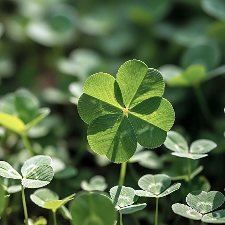 PC Gamer Explores the Challenge of Finding Four-Leaf Clovers in 'One In A Thousand'