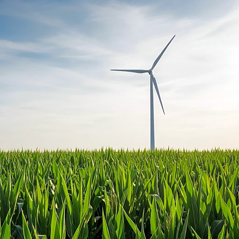 USDA Invests $11.5 Million in Iowa to Boost Agriculture and Renewable Energy