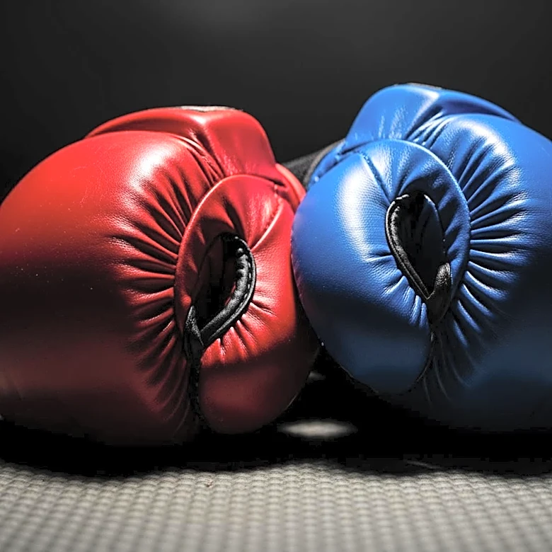 UFC 327: Procházka vs. Ulberg Set to Headline with High Stakes for Light Heavyweight Title