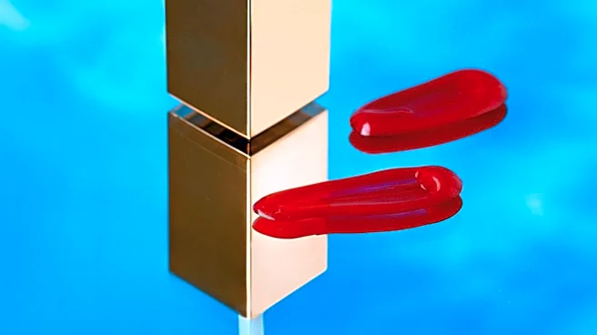 YSL Beauty's Candy Glaze Lip Gloss Stick Gains Popularity for Everyday Use