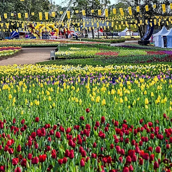 Menlo Park's Spring Festival and Egg Hunt Celebrates Community and Easter Joy