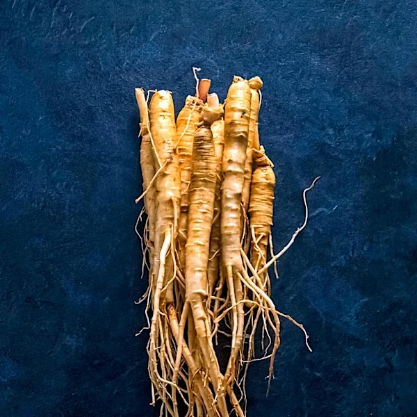 Humorist Annabelle Gurwitch Shares Life with Stage 4 Lung Cancer