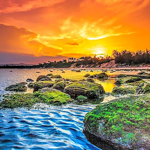 Photographer Jon McCormack Captures Nature's Dynamic Patterns