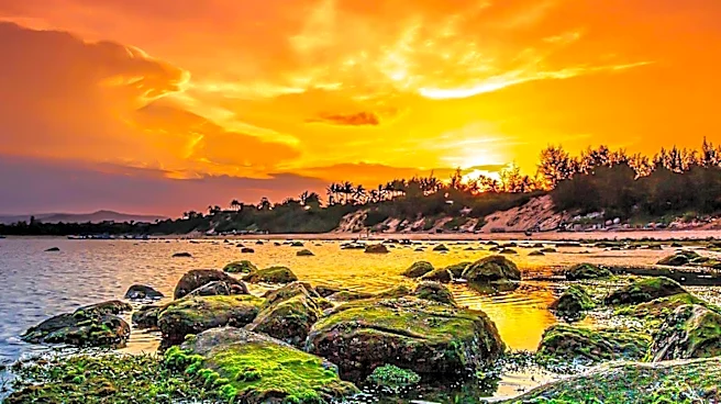 Photographer Jon McCormack Captures Nature's Dynamic Patterns