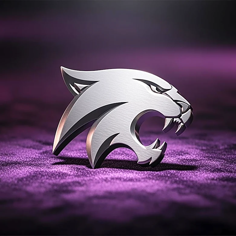 Brock Vice Joins Kansas State Wildcats from Transfer Portal