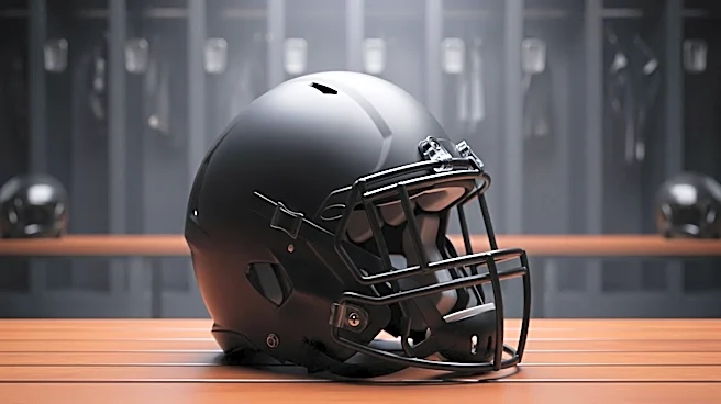 Kyle Hamilton Discusses Defensive Standards Under New Ravens Coach