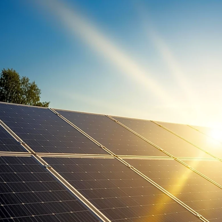 RAYZON Solar Joins UN Global Compact, Enhancing ESG Commitment Amid Expansion