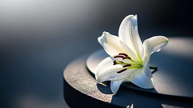 Europe Funeral Products Market Projected to Reach $16.4 Billion by 2033 Amid Demographic Shifts