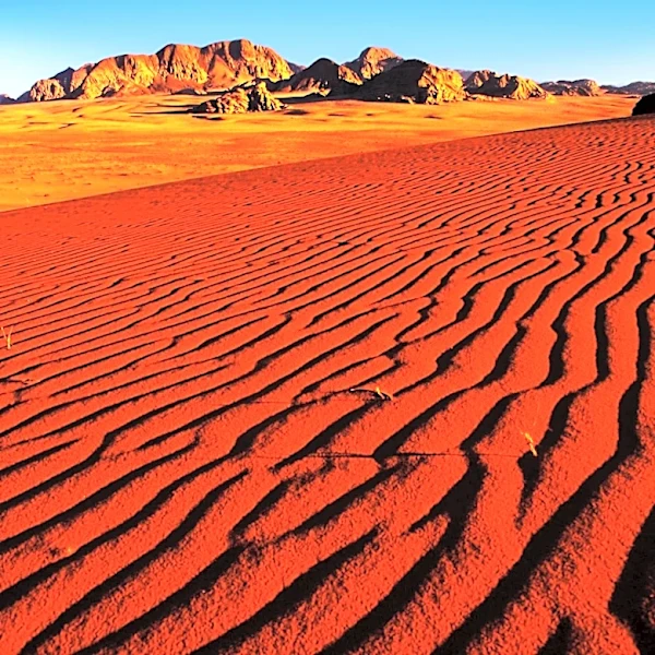 Crimson Desert Player Completes 305-Hour Gaming Marathon, Sparking Health Concerns