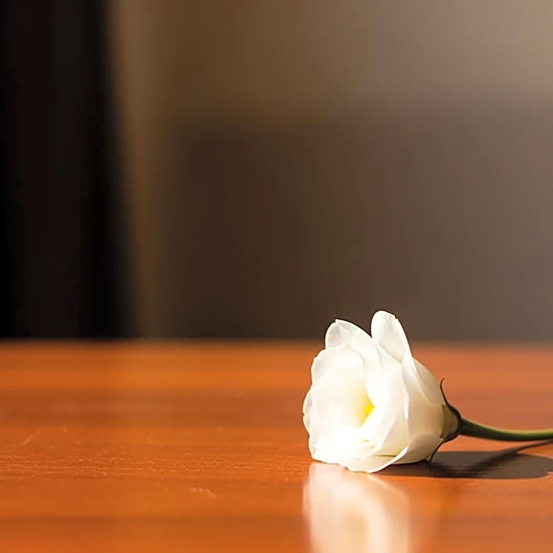 Flowers Foods Announces Retirement of Chief Supply Chain Officer Tom Winters