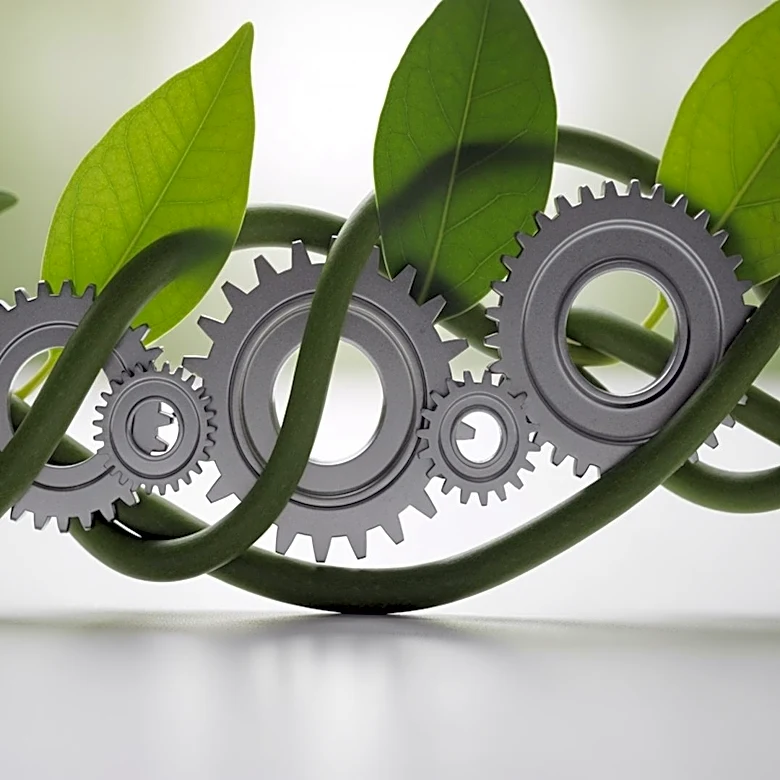 Manufacturers Embrace Sustainable Supply Chains to Enhance Resilience and Efficiency
