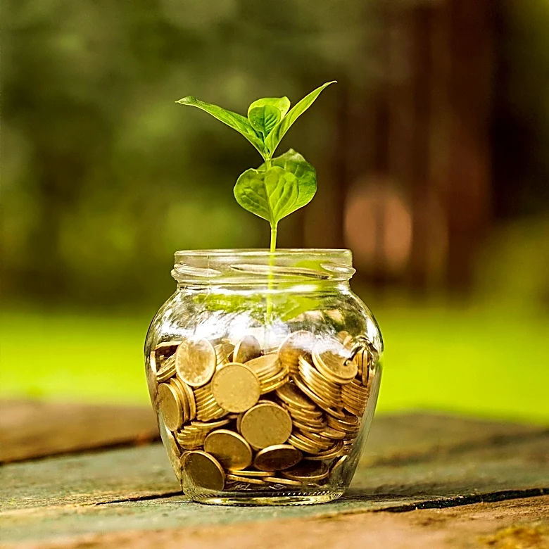 Early Retirees Share Investment Strategy for Financial Independence