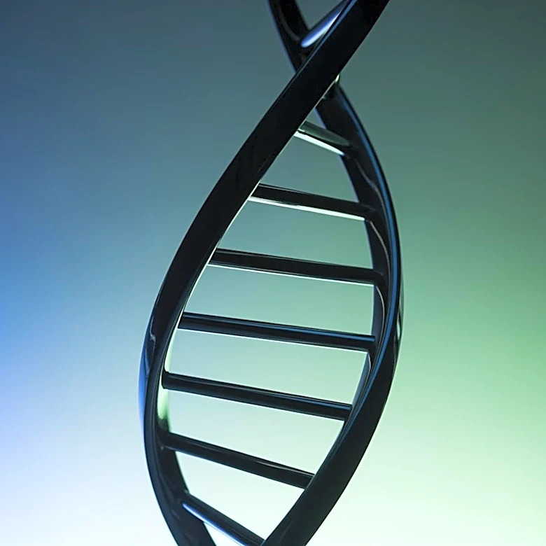23andMe Study Reveals Genetic Variations Affecting Obesity Drug Efficacy