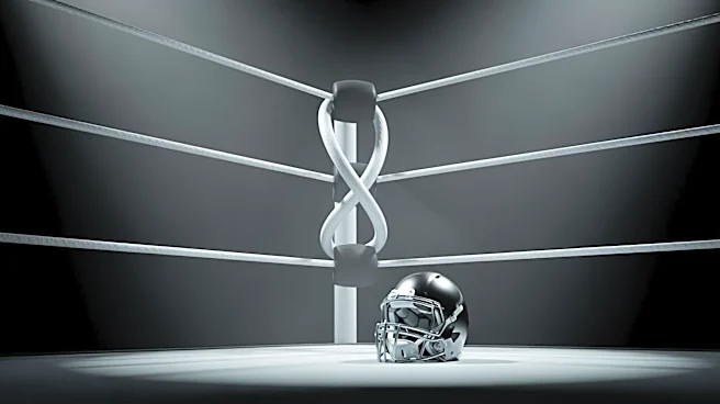 Seth Rollins Chooses Tom Brady as Tag Team Partner for Unique Scenario