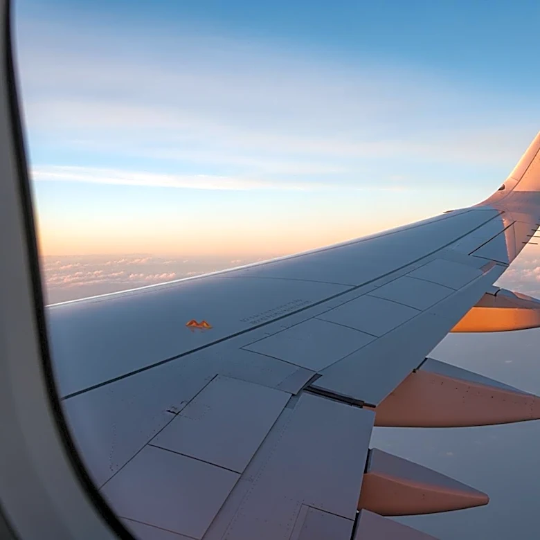 Natasha Lyonne Addresses Airplane Incident Following 'Euphoria' Premiere