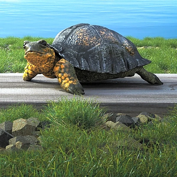 Authors Sangma Francis and Lexi Vangsnes Discuss Nature-Inspired Picture Book 'Wildspeak'