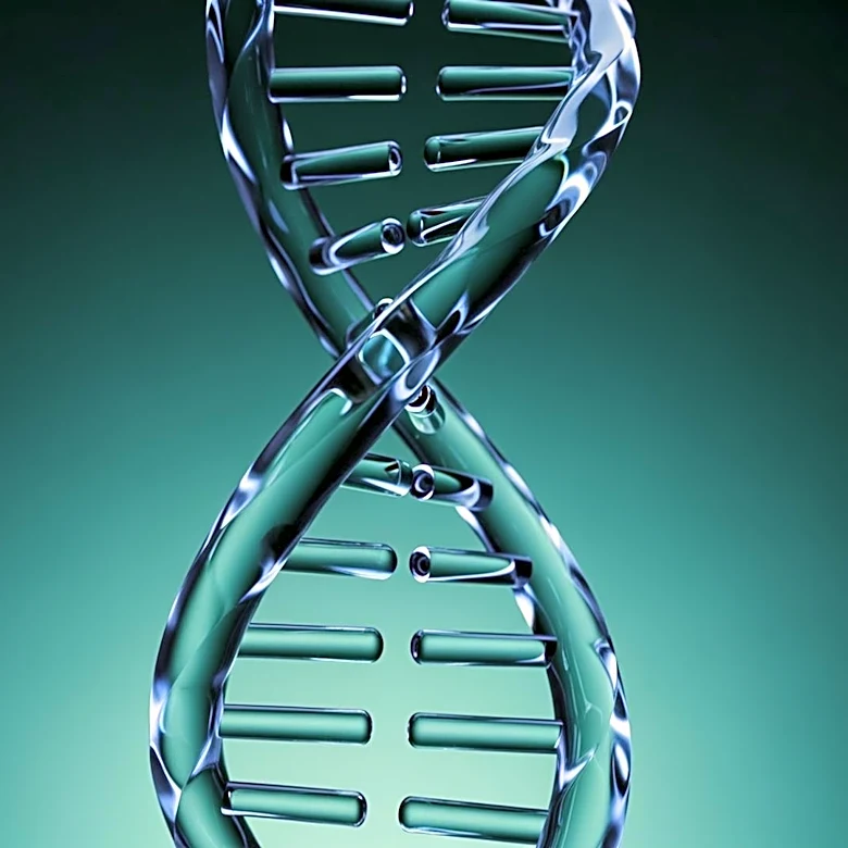 23andMe Study Reveals Genetic Factors in Obesity Drug Efficacy