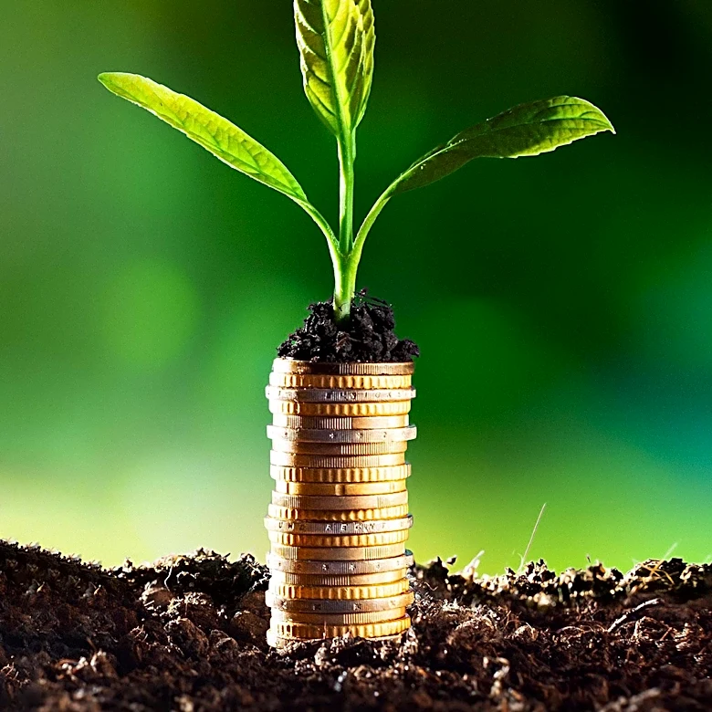 Early Retirees Share Two-Part Investment Strategy for Financial Independence