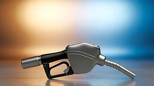 Costco Expands Fuel Business with Standalone Gas Stations to Address Rising Prices