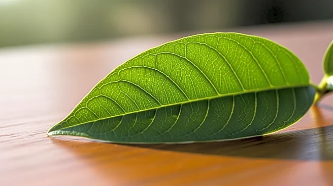 Progressive Planet Expands Production Amid Rising Demand for Sustainable Products