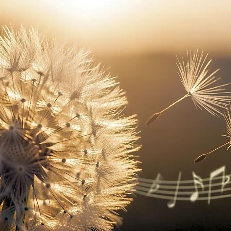 Ella Langley Releases New Album 'Dandelion' Featuring Star-Studded Collaborations