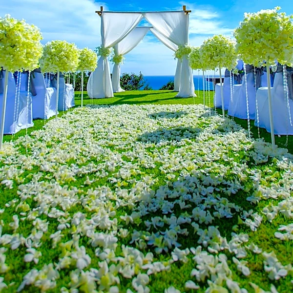 Weekend Events in New England: Cape Cod Wedding Showcase and Art Fundraiser