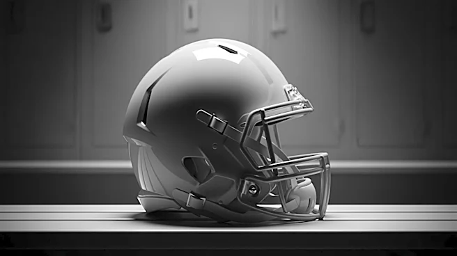 Gabe Taylor Honors Late Brother Sean Taylor in DC Defenders Debut