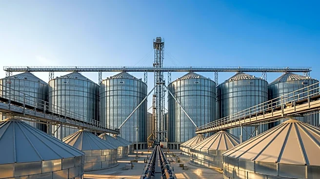 Port of Baltimore Launches Grain Transloading Facility to Boost Agricultural Exports