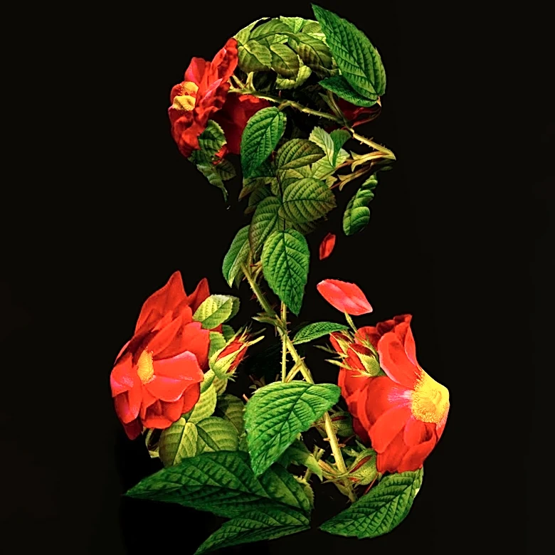 Fleurs de Villes FLORA Floral Art Show Debuts at Galleria Edina in Minnesota