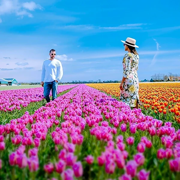Spring Blooms Draw Visitors to New Jersey Tulip Farm